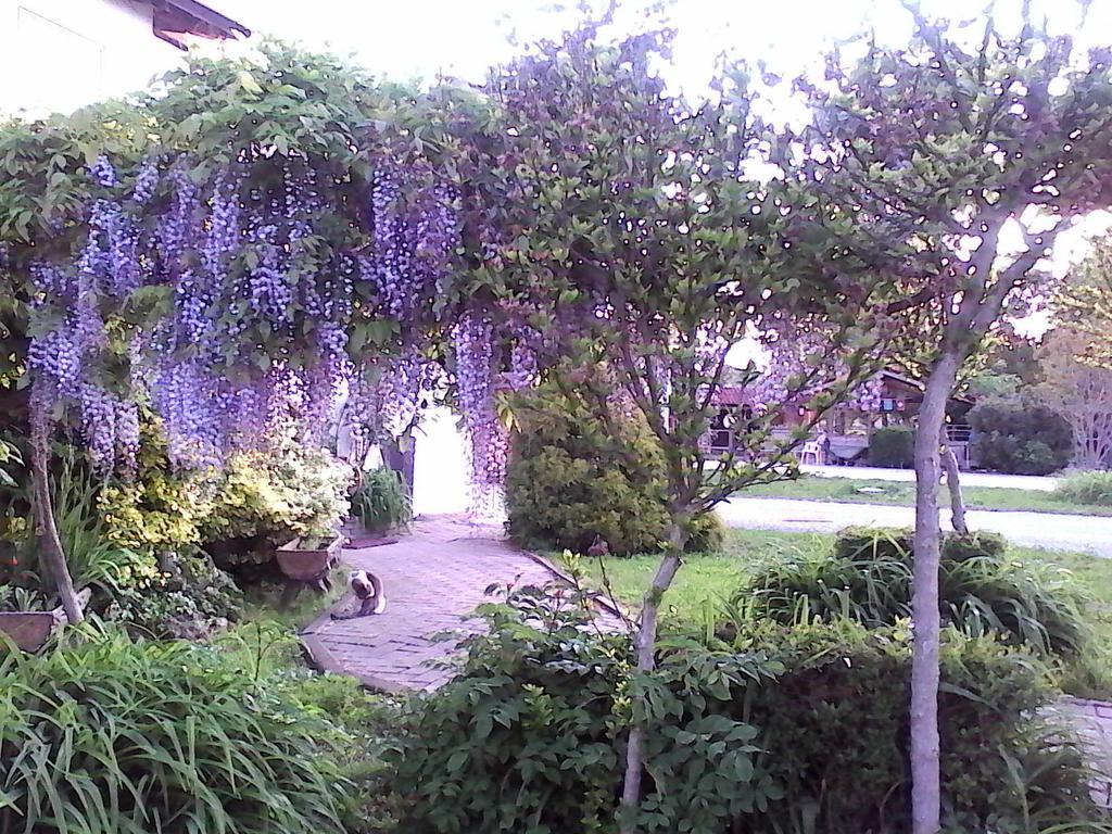 B&B Cm Ranch Cuneo Bagian luar foto